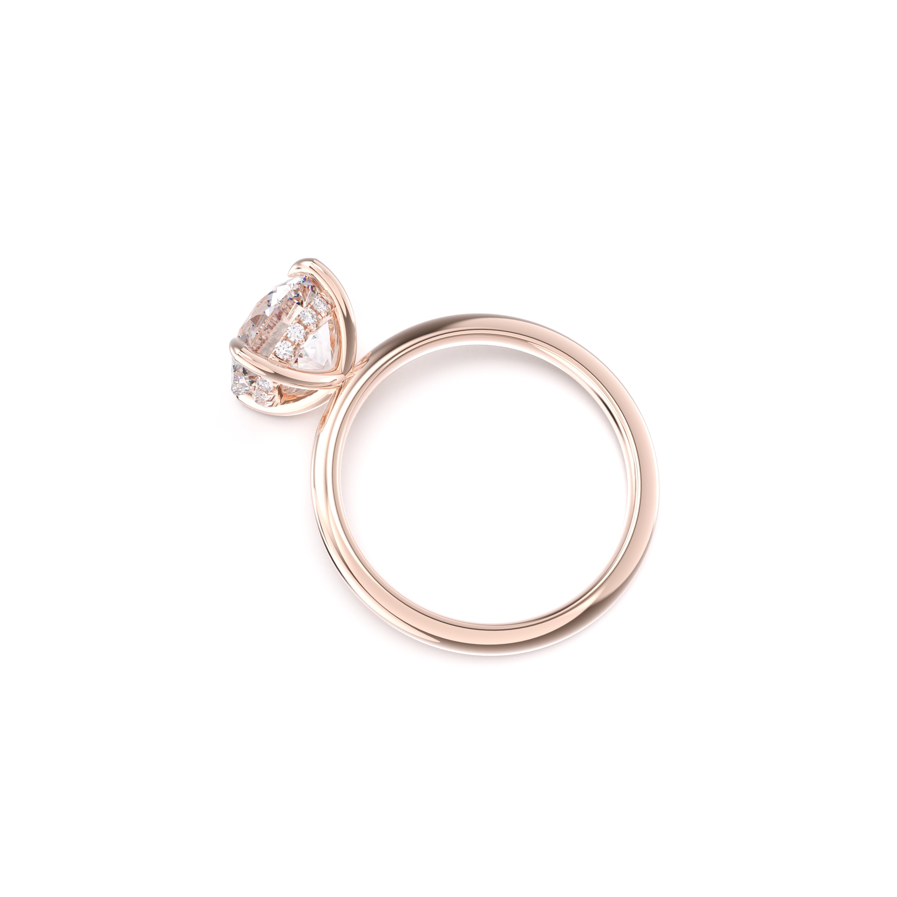 Clio - Old European Cut