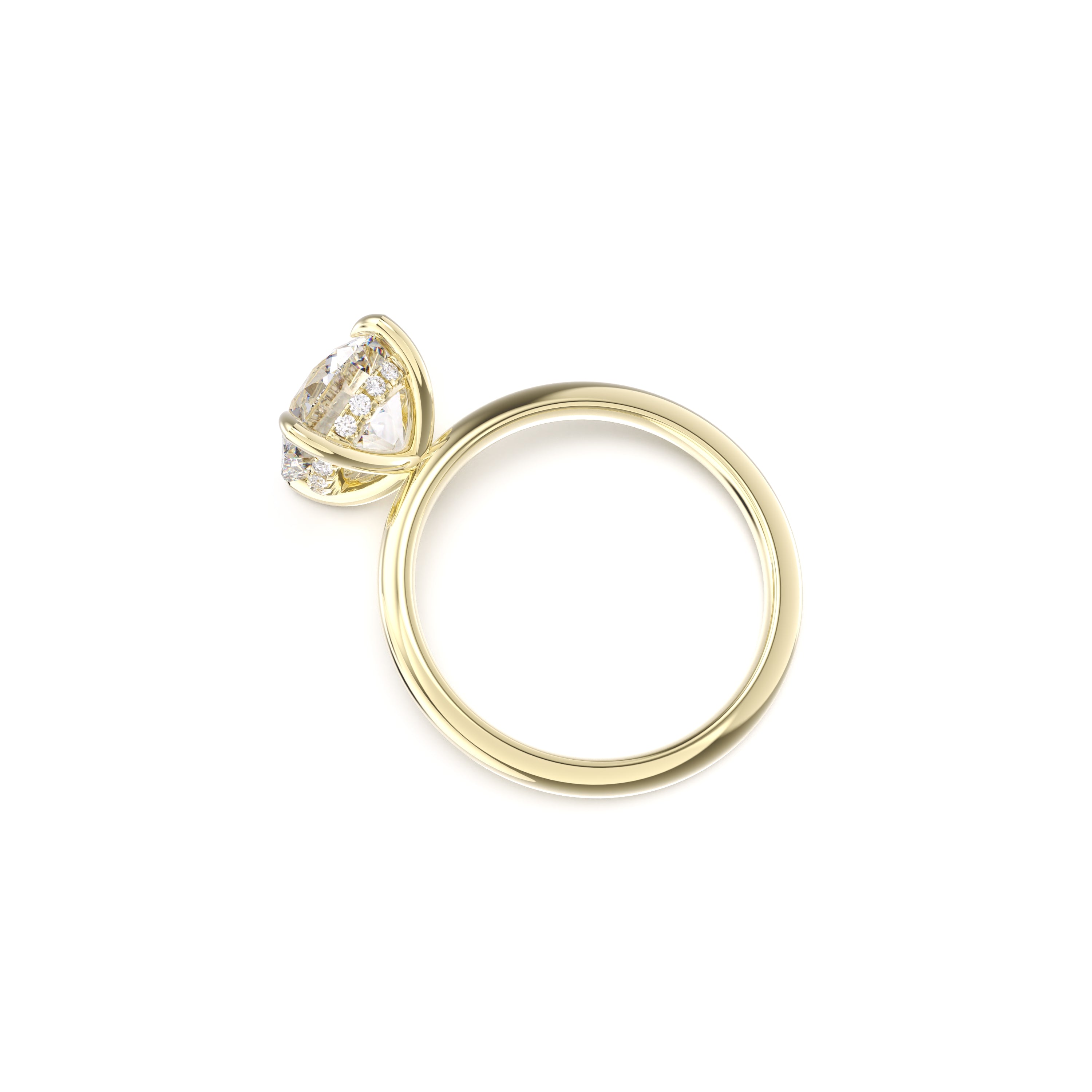 Clio - Old European Cut