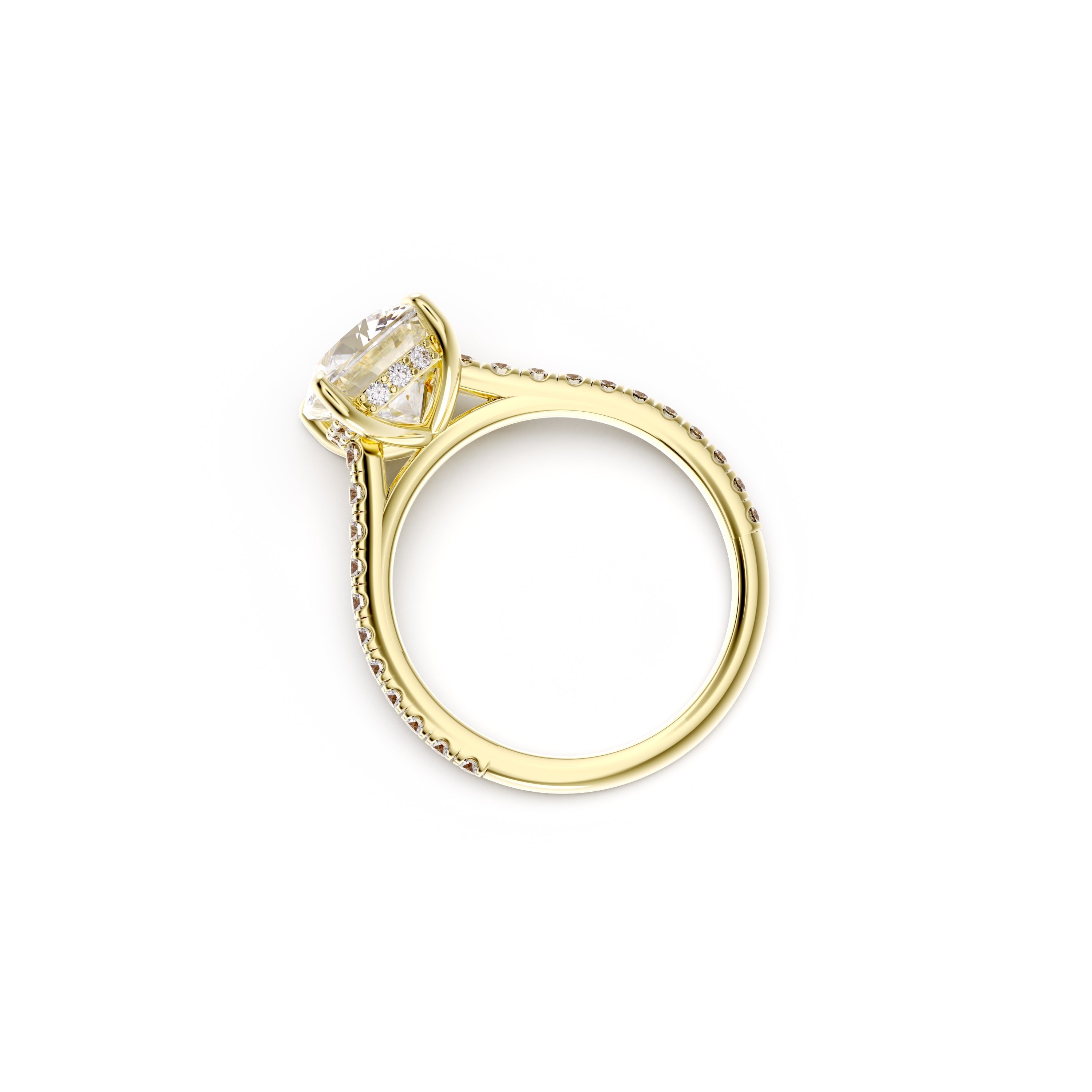 Venus - Elongated Cushion Cut